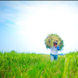 Bank Indonesia: Pertanian Jadi Tulang Punggung Ekonomi, Bukti Nyata Sektor Pangan Semakin Kuat