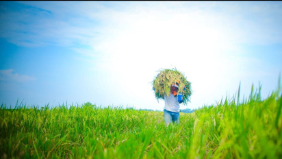 Bank Indonesia: Pertanian Jadi Tulang Punggung Ekonomi, Bukti Nyata Sektor Pangan Semakin Kuat