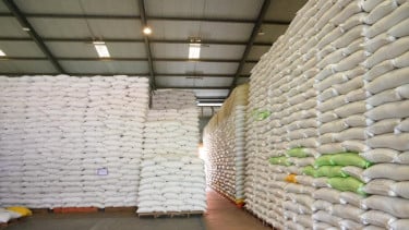 Indonesia Ekspor Beras ke Arab Saudi dan Salurkan Bantuan ke Palestina, Bukti Produksi Kuat dan Stok Nasional Aman