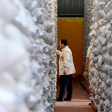 Prabowo Sidak Gudang Bulog Magelang, Pastikan Stok Beras Penuh di Tengah Ancaman Krisis Global