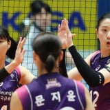 Wajib Kirim Satu Pemainnya ke Red Sparks karena Rekrut Jung Ho-young, Ini Daftar Pemain Pink Spiders yang Tersedia