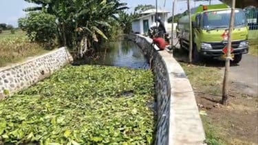 Tumpahan Oli di Persawahan Berhasil Dikendalikan, PT BJB dan DLH Bergerak Cepat