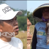 Meski Kakinya Remuk, Kuli Potong Padi Ini Tetap Semangat Cari Nafkah hingga Dapat Apresiasi Dedi Mulyadi