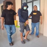 Nekat Curi 4 Ekor Sapi Milik Majikannya, Karyawan Peternakan di Brebes Diamankan Polisi