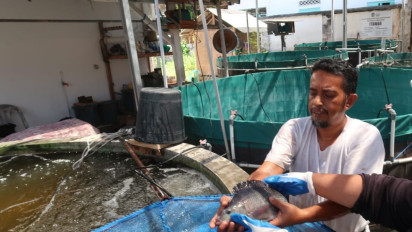 Tidak Diizinkan Kerja di Luar Kota, Gen Z Ini Sukses Bisnis Budidaya Modern Ikan di Halaman Rumah