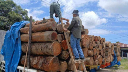 Hakim PN Medan Menolak Praperadilan Kasus Kayu Ilegal, Status Tersangka Dinyatakan Sah