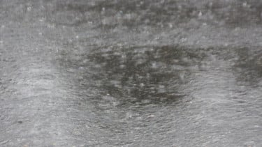 Tragedi di Tengah Sawah: Petir Sambar Tenda Petani di Agam Sumbar, Satu Orang Meninggal Dunia