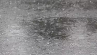 Tragedi di Tengah Sawah: Petir Sambar Tenda Petani di Agam Sumbar, Satu Orang Meninggal Dunia