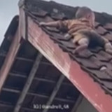 Viral Video Balita Merayap di Genteng Rumah, Diduga Karena Terlalu Aktif