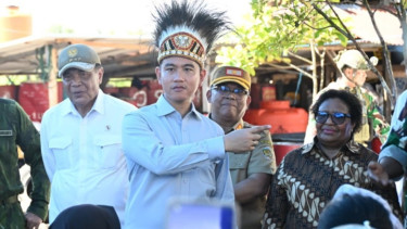 Gibran Tinjau Papua, Wamendagri Ungkap Progres DOB Melesat: Infrastruktur hingga Layanan Publik Dikebut