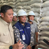 Sidak Stok Beras di Palembang, Wamentan: Tembus 5 Juta Ton, Tertinggi Sepanjang Sejarah