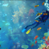 Dari Diving hingga Extreme Sports, DXI 2026 Angkat Wisata Petualangan Indonesia ke Panggung Dunia, Ini Potensinya