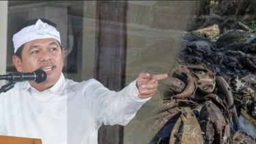 Tak Hanya Beberkan Penyebab Utama Tingginya Populasi Ikan Sapu-sapu, KDM Bocorkan Sejumlah Langkah Taktis Mengembalikan Ikan Endemik