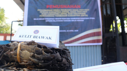 Ribuan Kulit Biawak dan Komoditas Ilegal Tanpa Dokumen Dimusnahkan