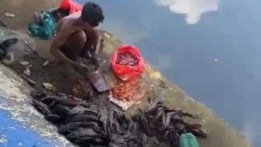 Hendak Jual ke Pengepul untuk Bahan Siomay, Lima Penjual Daging Ikan Sapu-Sapu Diamankan di Kali Ciliwung