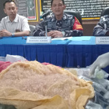 Penyelundupan 39 Ribu Benur Senilai Rp 1,1 Miliar dari Juanda ke Singapura Digagalkan