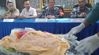 Penyelundupan 39 Ribu Benur Senilai Rp 1,1 Miliar dari Juanda ke Singapura Digagalkan