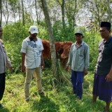 Marak Pencurian di Bangkalan, Warga Soroti Keamanan dan Kinerja Aparat