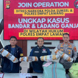 Detik-detik Menegangkan Polda Sumsel Bongkar Ladang Ganja 20 Hektare, 220 Kg Ganja Disita