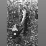 Terduga Penculik Bocah 4 Tahun Tewas Dihakimi Massa di Rejang Lebong