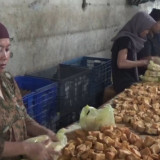 Pengusaha Tahu Goreng Jombang Terhimpit Harga Minyak, Omzet Menurun