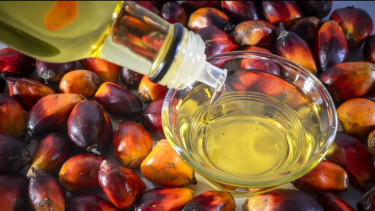 Harga Minyak Goreng Tertekan Biaya Plastik, Ekonom Peringatkan Dampak ke Inflasi dan Daya Beli