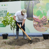 Jaga Keseimbangan Lingkungan, PalmCo Tanam 50.000 Pohon di 7 Region