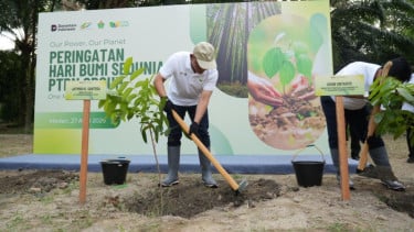 Jaga Keseimbangan Lingkungan, PalmCo Tanam 50.000 Pohon di 7 Region