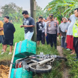 ‎Jatuh di Pematang Sawah, Seorang Petani Meninggal Dunia Usai Tersengat Listrik Jebakan Tikus
