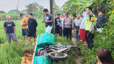 ‎Jatuh di Pematang Sawah, Seorang Petani Meninggal Dunia Usai Tersengat Listrik Jebakan Tikus