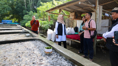 Teknik Air Jernih Bikin Bisnis Pemuda Desa di Banyuwangi Raup Omzet Ratusan Juta Rupiah