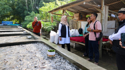 Teknik Air Jernih Bikin Bisnis Pemuda Desa di Banyuwangi Raup Omzet Ratusan Juta Rupiah