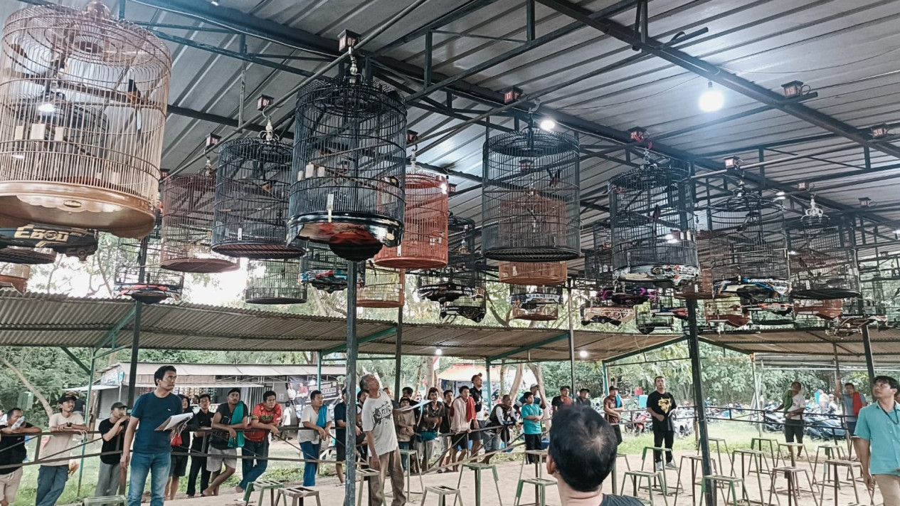 Mendag Sebut Nilai Ekonomi Burung Kicau Bisa Tembus Rp2 T, Perputaran Uang Kicau Mania Sentuh UMKM hingga Industri
            - galeri foto