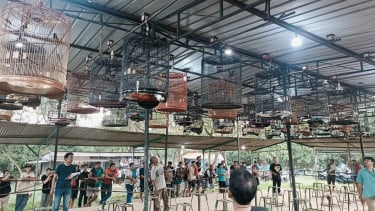 Mendag Sebut Nilai Ekonomi Burung Kicau Bisa Tembus Rp2 T, Perputaran Uang Kicau Mania Sentuh UMKM hingga Industri