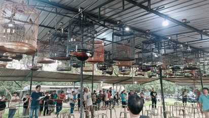 Mendag Sebut Nilai Ekonomi Burung Kicau Bisa Tembus Rp2 T, Perputaran Uang Kicau Mania Sentuh UMKM hingga Industri