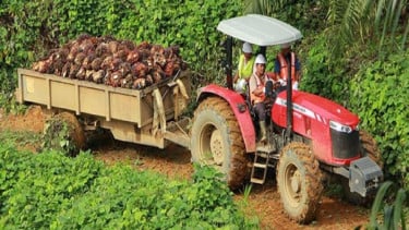 UNSP Bukukan Laba Operasi Rp 70 Miliar