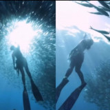 Pesona Gubernur Malut Sherly Tjoanda Diving di Laut Jikomalamo Ternate, Warganet Terkagum-kagum, Bak Lihat Mermaid: Sudah Bu, Cantik Banget!