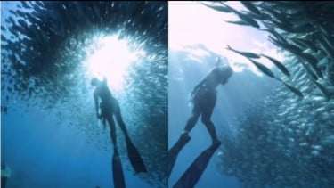 Pesona Gubernur Malut Sherly Tjoanda Diving di Laut Jikomalamo Ternate, Warganet Terkagum-kagum, Bak Lihat Mermaid: Sudah Bu, Cantik Banget!