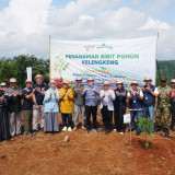 Kolaborasi Hasilkan Wakaf Produktif, Wakaf Salman Sulap Kebun Kelengkeng di Subang