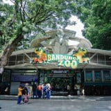 Bandung Zoo Belum Punya Pengelola, Dedi Mulyadi Siap Terjunkan BUMD Jabar untuk Ambil Alih