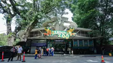 Bandung Zoo Belum Punya Pengelola, Dedi Mulyadi Siap Terjunkan BUMD Jabar untuk Ambil Alih
