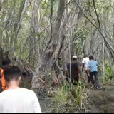 Erupsi Gunung Dukono Makan Korban, 15 Selamat, 2 Pendaki WNA Tewas dan 3 Masih Dalam Pencarian