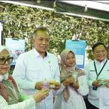 Strategi Pemberdayaan Perempuan Bangun Ekonomi Keluarga Lewat UMKM dan Ekonomi Syariah 