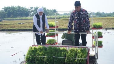 Percepat Tanam Padi di Madiun, Khofifah Ingin Jatim Tak Hanya Jadi Penopang Ketahanan Pangan Tapi Juga Kedaulatan Pangan Nasional