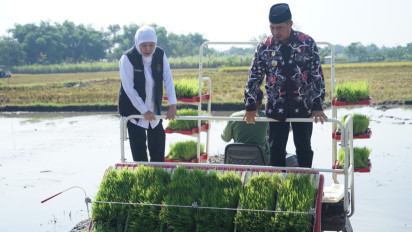 Percepat Tanam Padi di Madiun, Khofifah Ingin Jatim Tak Hanya Jadi Penopang Ketahanan Pangan Tapi Juga Kedaulatan Pangan Nasional