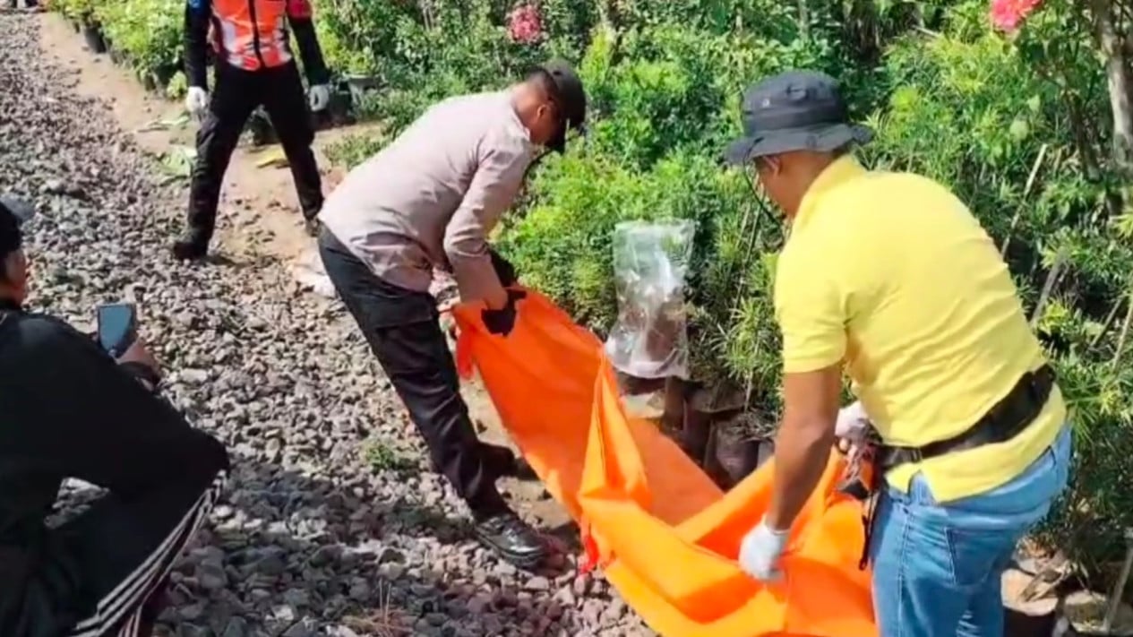 Pria Tanpa Identitas di Probolinggo Tewas Tertabrak Kereta Api
            - galeri foto