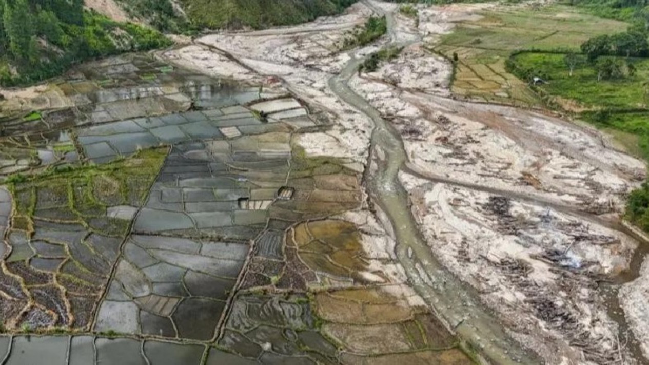 Ribuan Hektare Sawah Terdampak Bencana Mulai Bisa Ditanami Lagi, Butuh Rp337,97 Miliar untuk Rebabilitasi Total
            - galeri foto