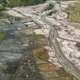 Ribuan Hektare Sawah Terdampak Bencana Mulai Bisa Ditanami Lagi, Butuh Rp337,97 Miliar untuk Rebabilitasi Total