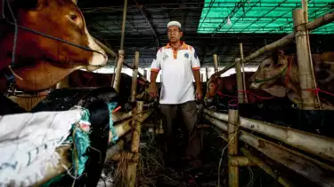 Berita Foto: Lapak Hewan Kurban Mulai Bermunculan Jelang Iduladha 1447 H