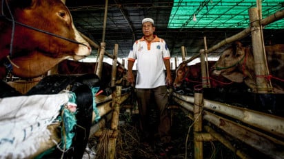 Berita Foto: Lapak Hewan Kurban Mulai Bermunculan Jelang Iduladha 1447 H